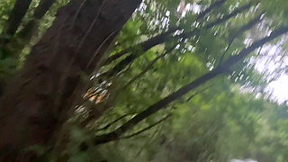 Piss, Mud and Flashing Near the Road