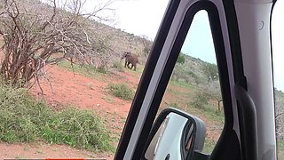 My EBONY GF got desperate on safari