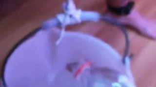 7 Liters on Balls