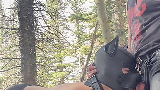 Fucked on a Walk in the Woods