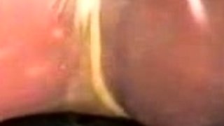 homemade amateur close up fucking and cumshot