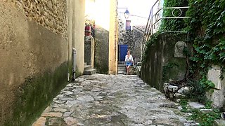 Kinky Girls in Group Sex Outdoors