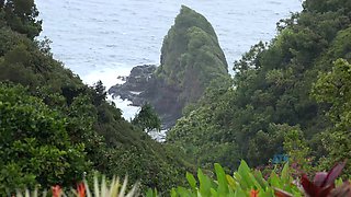 Virtual Vacation Hawaii With Kate England 1/9