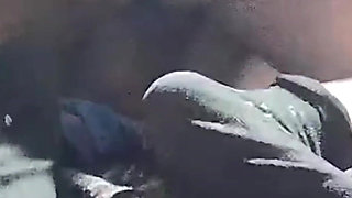 Mature Loves to Be Ridden