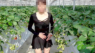 Mayu No.45: Strawberry Picking Exposure, Immediate Oral, Swallowing Specialization