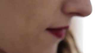 Collar and Leash