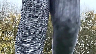 Outdoor Hairy Pussy Flashing Fingering
